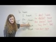 Basic English Grammar - Have, Has, Had