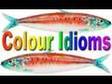 Colour Idioms | Learn English | Idioms