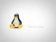 The Linux Foundation Video Site:: we're linux by phab in eng