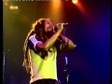 Bob Marley   the Wailers   Could You Be Loved Live